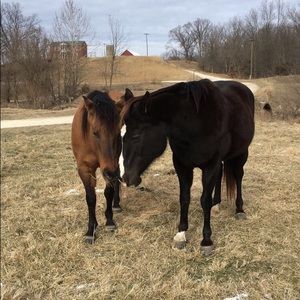 Meet your Posher, Lucy